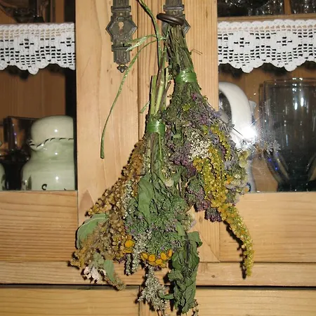 Hotel Kleine Bio Tiefenbach *